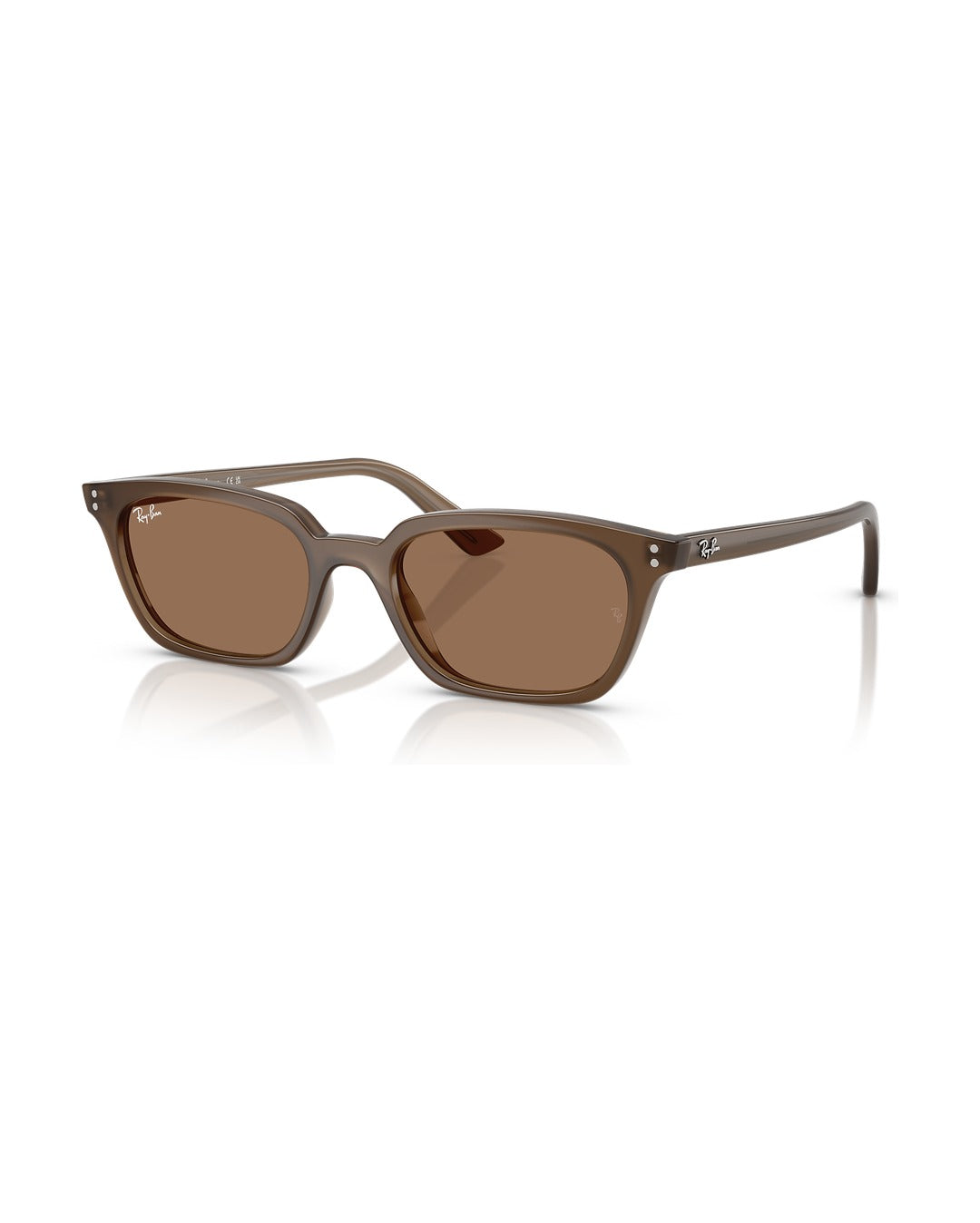 ray-ban-zaya-sunglasses-transparent-brown-dark-brown-1
